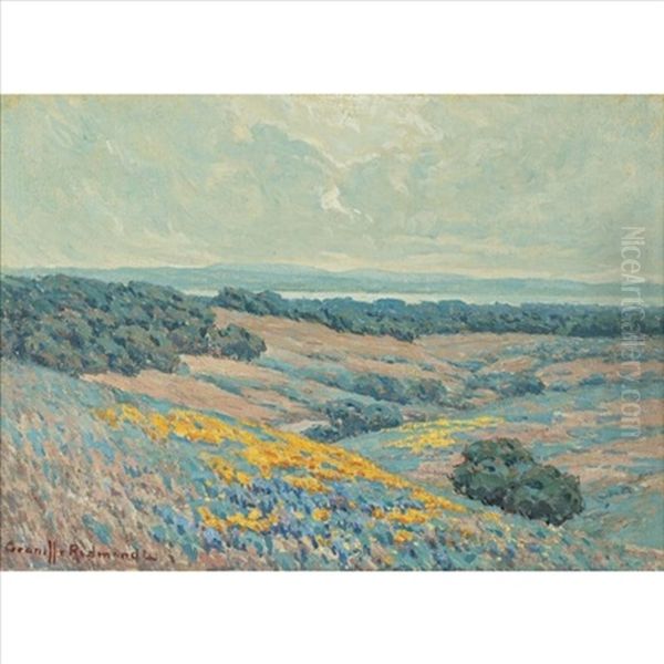 California Landscape - view 1