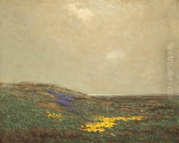 Wildflowers By The California Coast - view 1