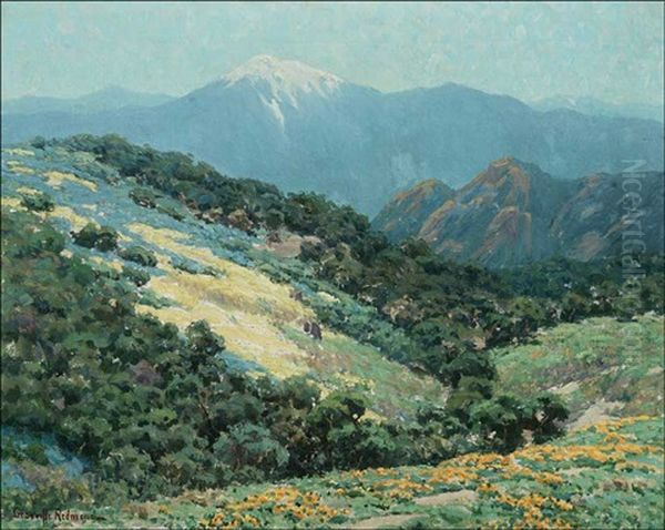 View Of Mt. Baldy From Cajon Pass - view 1
