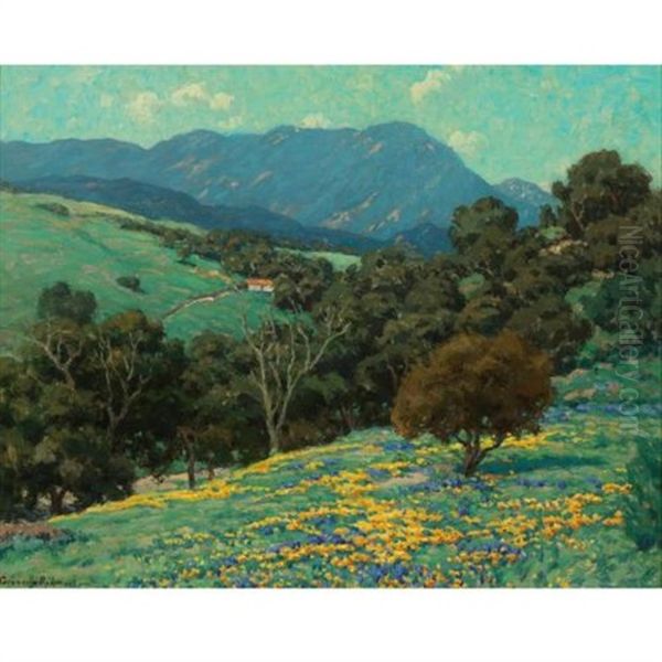 California Hills - view 1