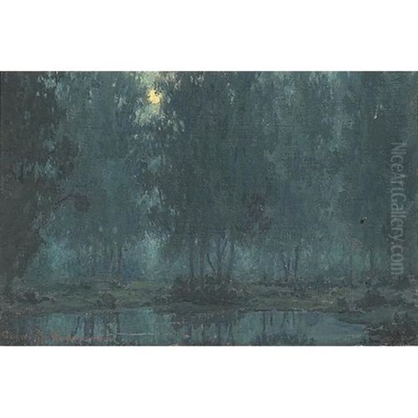 Nocturne - view 1