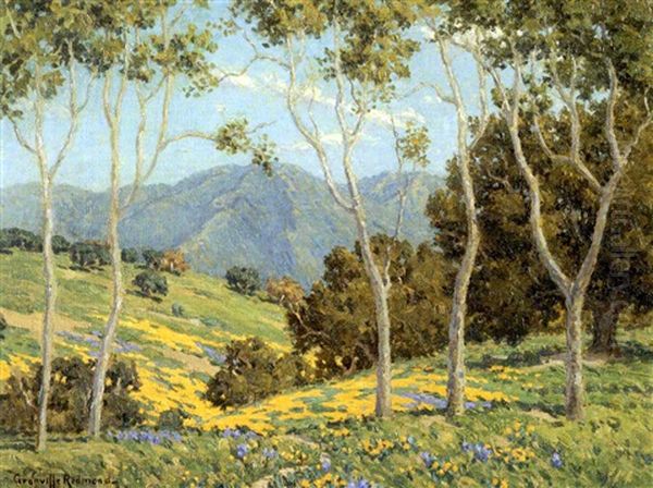 Poppies And Eucalyptus - view 1
