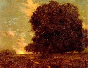 A Canyon Oak