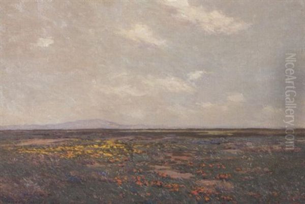 Wildflowers In The Marshes - view 1