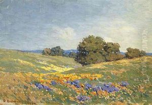 Landscape With Poppies And Lupin