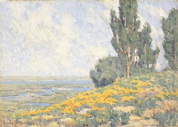 Poppies And Eucalyptus - view 1