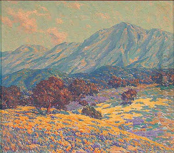 Poppies And Lupine Landscape - view 1