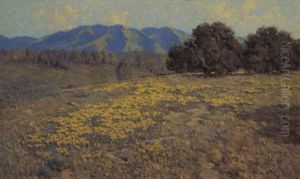 California Poppies by Granville S. Redmond