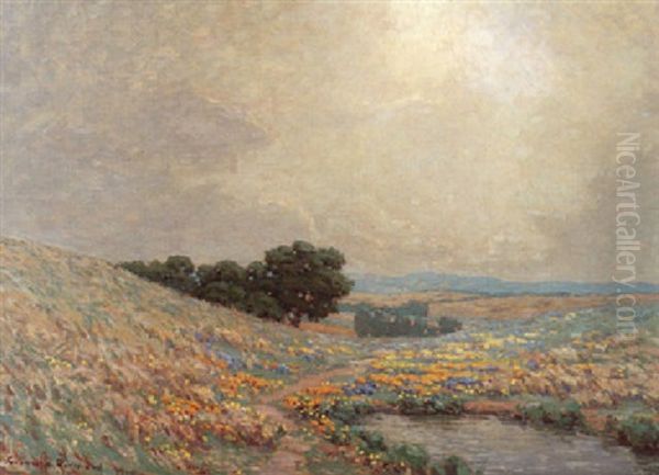 California Wild Flowers - view 1