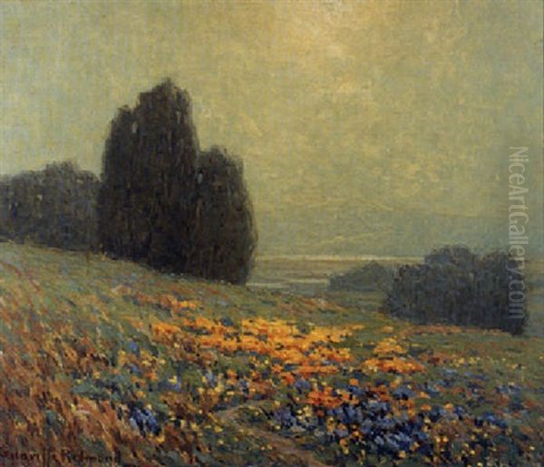 Early Spring - view 1