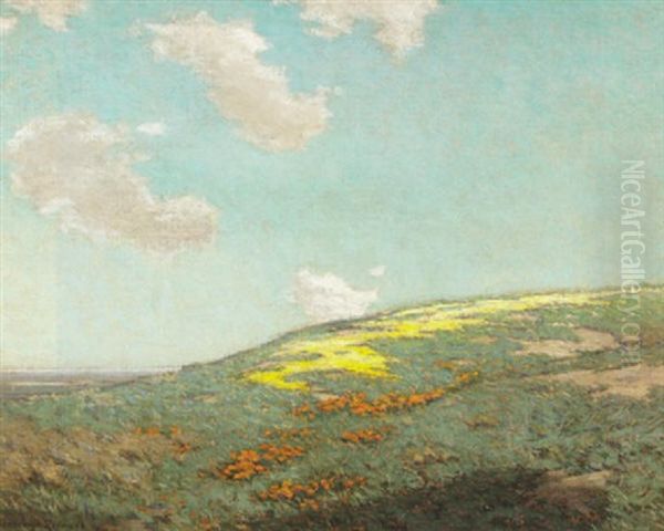 Poppies Near Santa Barbara - view 1