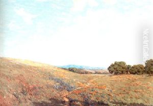 Field Of Mustard Poppies And Lupine Field Of Mustard Poppies And Lupine
