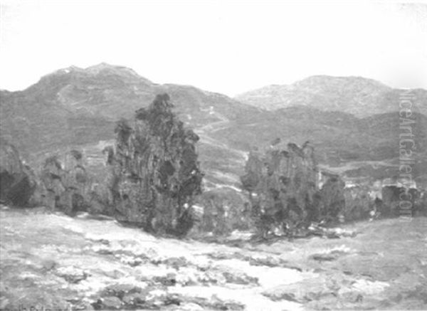 Mountain Fields In Bloom - view 1