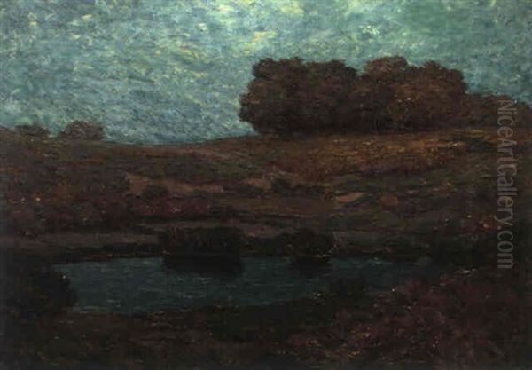 Nocturnal Landscape - view 1