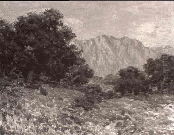 Distant Mountains At Sunset - view 1