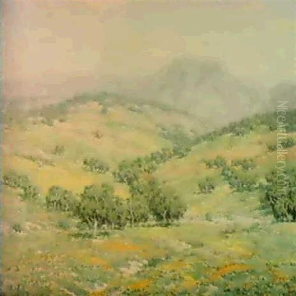 California Spring - view 1