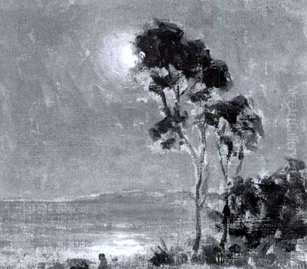 Moonlit Bay - view 1