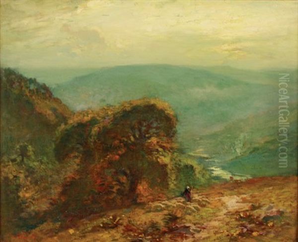 Mountain Path - view 1