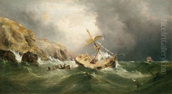 Rescued From A Ship In Distress - view 1