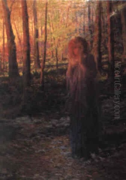 Reverie Le Soir Dans La Foret - view 1
