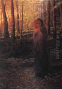 Reverie Le Soir Dans La Foret