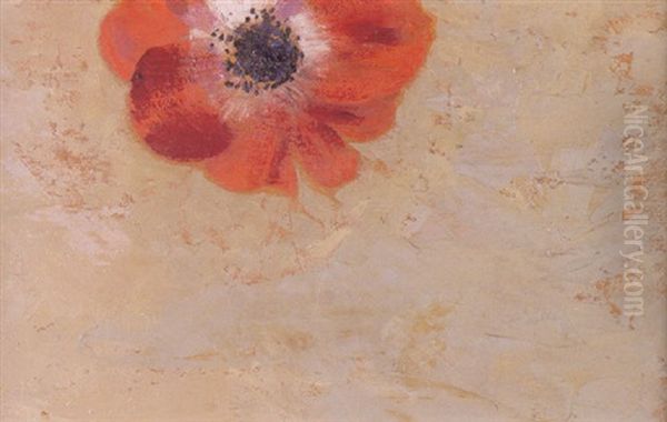 Coquelicot - view 1