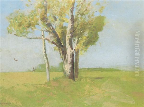 Arbres - view 1