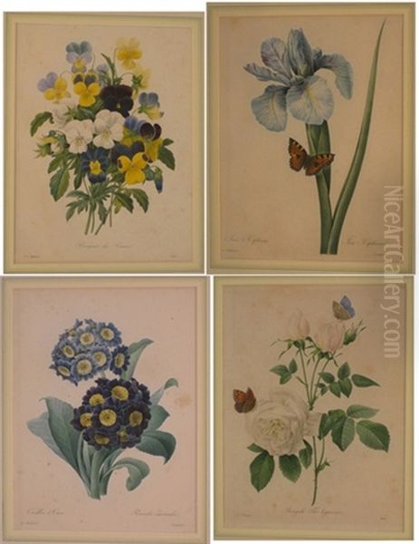 A Set Of Four Coloured Engravings - view 1