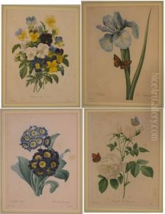 A Set Of Four Coloured Engravings by Pierre-Joseph Redoute