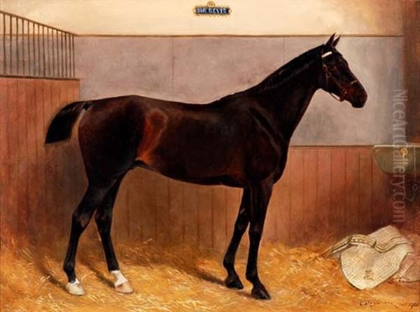 Sir Bevis - view 1