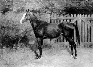 A Bay Mount, "baby", Knightsbridge, Ridden By Captain The Hon. Malcolm Lyon by William Josiah Redworth