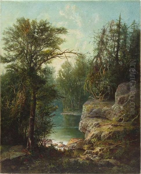 Landscape - view 1