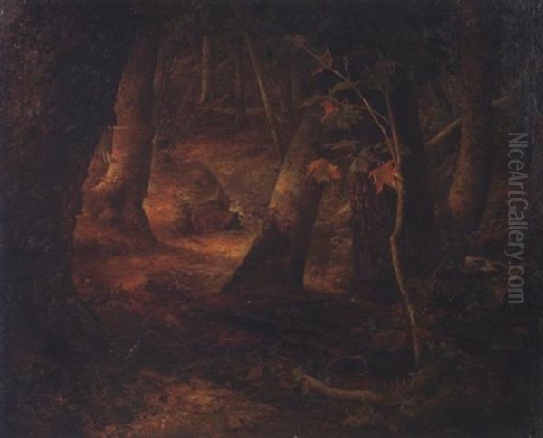 Green Mountain Forest - view 1