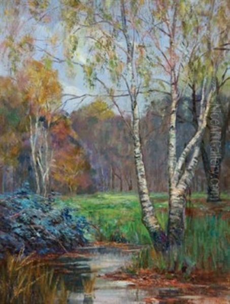 Near North Rode, Cheshire, Silver Birch Trees By A Stream Through A Glade - view 1