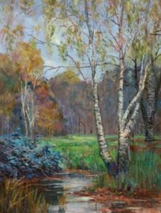 Near North Rode, Cheshire, Silver Birch Trees By A Stream Through A Glade