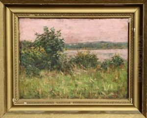 Landscape Landscape