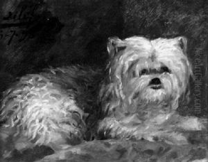 Malteserhundchen by Felix Elie Regamey