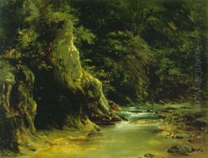 Landschaftsstudie Mit Bachlauf Im Wald Landschaftsstudie Mit Bachlauf Im Wald