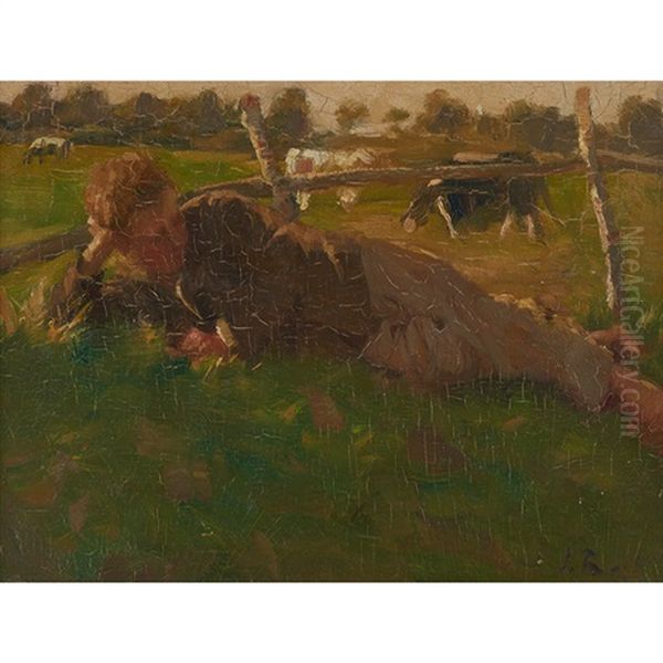 Boy Lying In A Field - view 1