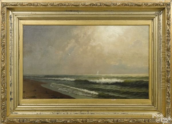 Coastal Scene - view 1