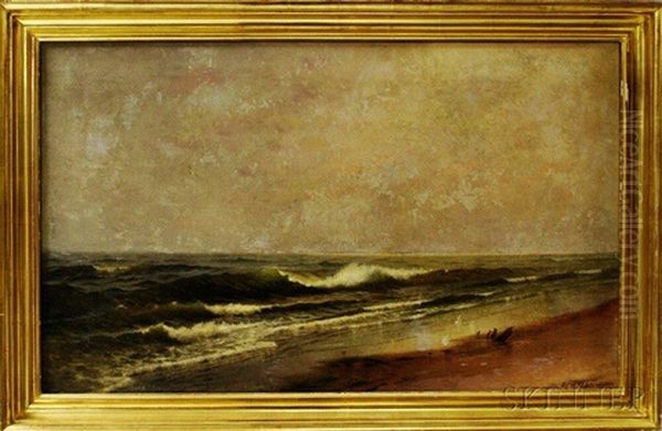 Surf Scene With Gulls - view 1