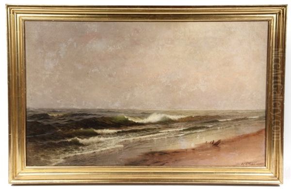 Cloudy Beach - view 1