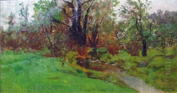 Spring Landscape - view 1