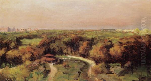 Landscape At Sunset - view 1