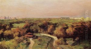 Landscape At Sunset