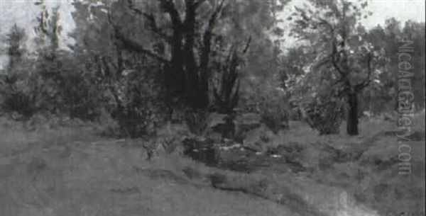 Spring Landscape - view 1