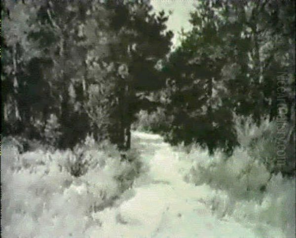 Beach Road, Magnolia - view 1