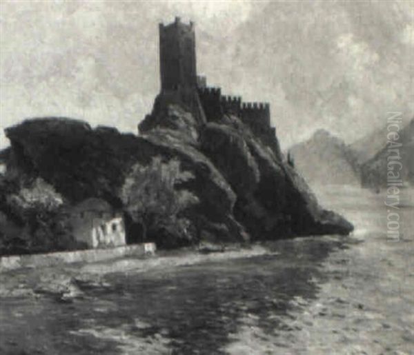 Castle On The Rhine - view 1