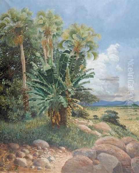 Afrikanische Landschaft - view 1