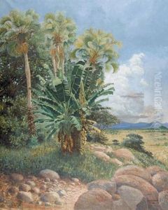 Afrikanische Landschaft